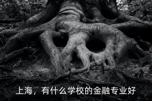 上海，有什么學校的金融專業(yè)好