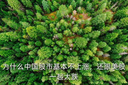為什么中國股市基本不上漲，還跟美股一起大跌