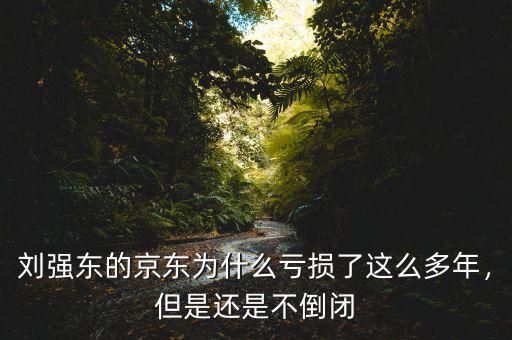 劉強(qiáng)東的京東為什么虧損了這么多年，但是還是不倒閉