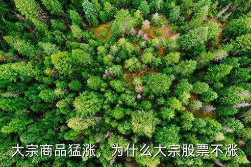 大宗商品猛漲，為什么大宗股票不漲