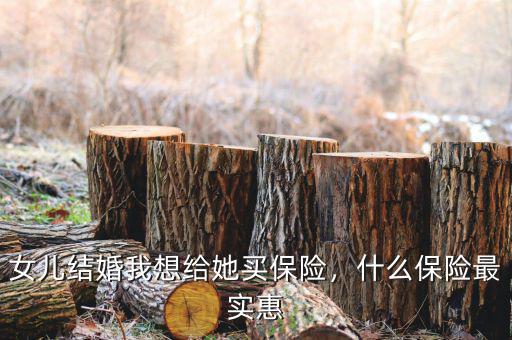 女兒結(jié)婚我想給她買保險，什么保險最實惠