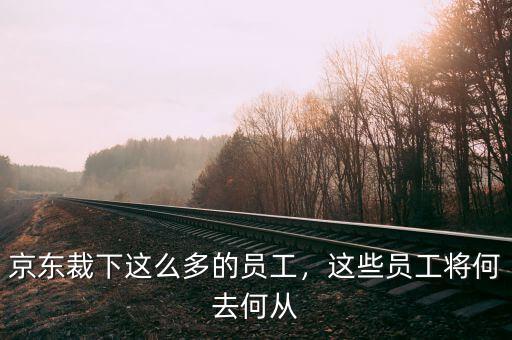 京東裁下這么多的員工，這些員工將何去何從