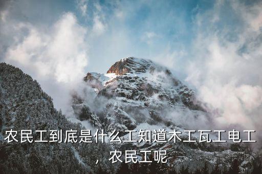 農(nóng)民工到底是什么工知道木工瓦工電工，農(nóng)民工呢