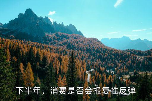 下半年，消費是否會報復(fù)性反彈