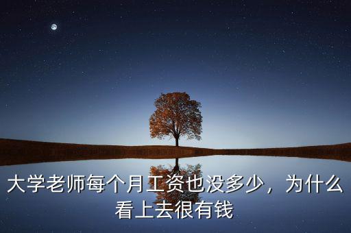 大學(xué)老師每個月工資也沒多少，為什么看上去很有錢