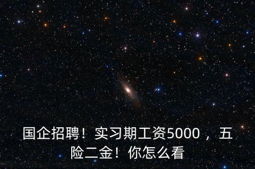 國企招聘！實(shí)習(xí)期工資5000 ，五險(xiǎn)二金！你怎么看