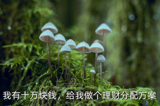 我有十萬(wàn)塊錢，給我做個(gè)理財(cái)分配方案