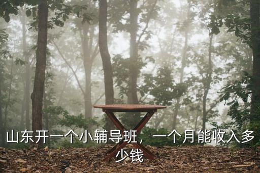 山東開(kāi)一個(gè)小輔導(dǎo)班，一個(gè)月能收入多少錢