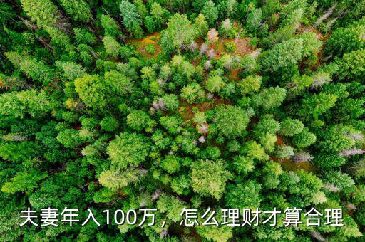 夫妻年入100萬，怎么理財才算合理
