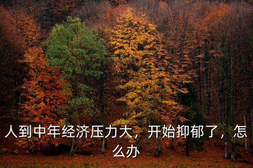 人到中年經(jīng)濟(jì)壓力大，開始抑郁了，怎么辦