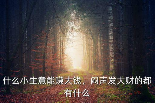 什么小生意能賺大錢，悶聲發(fā)大財?shù)亩加惺裁? class=