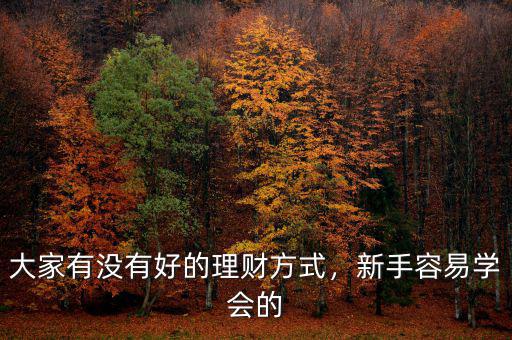 大家有沒有好的理財(cái)方式，新手容易學(xué)會的