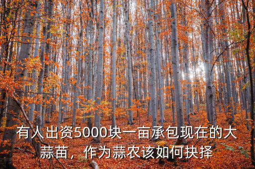 有人出資5000塊一畝承包現(xiàn)在的大蒜苗，作為蒜農(nóng)該如何抉擇