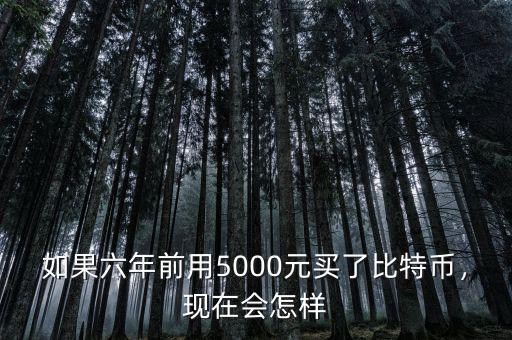如果六年前用5000元買了比特幣，現(xiàn)在會怎樣