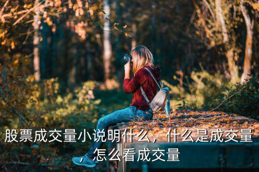 股票成交量小說明什么，什么是成交量，怎么看成交量