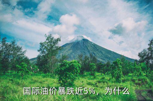 國際油價暴跌近5%，為什么