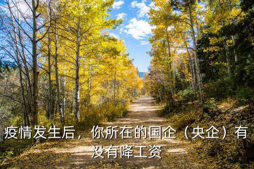 疫情發(fā)生后，你所在的國(guó)企（央企）有沒有降工資