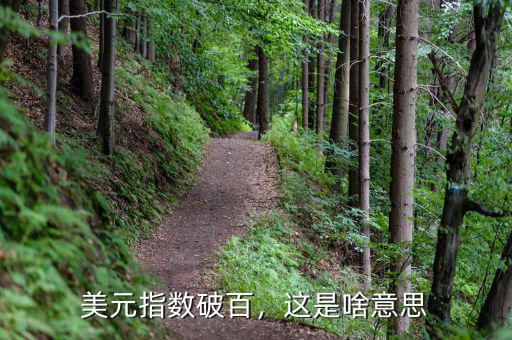 美元指數(shù)破百，這是啥意思