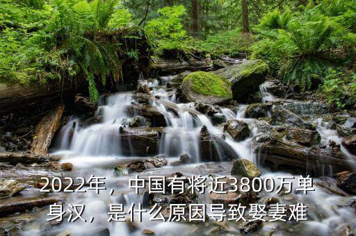 2022年，中國(guó)有將近3800萬(wàn)單身漢，是什么原因?qū)е氯⑵揠y