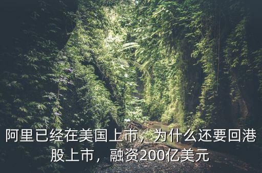 阿里已經(jīng)在美國上市，為什么還要回港股上市，融資200億美元