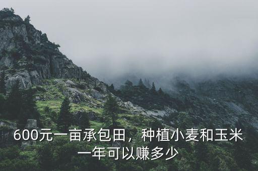 600元一畝承包田，種植小麥和玉米一年可以賺多少