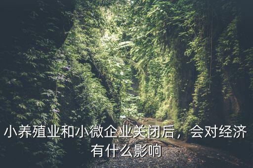 小養(yǎng)殖業(yè)和小微企業(yè)關(guān)閉后，會(huì)對(duì)經(jīng)濟(jì)有什么影響