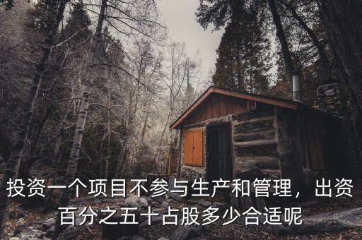 投資一個項目不參與生產(chǎn)和管理，出資百分之五十占股多少合適呢