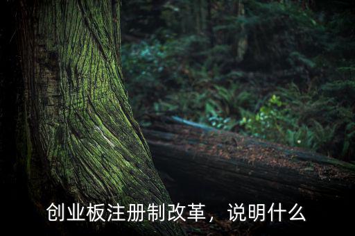 創(chuàng)業(yè)板注冊(cè)制改革，說(shuō)明什么
