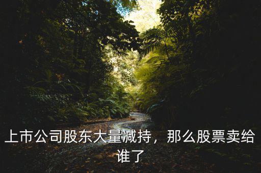 上市公司股東大量減持，那么股票賣給誰了