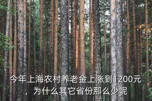 今年上海農(nóng)村養(yǎng)老金上漲到1200元，為什么其它省份那么少呢