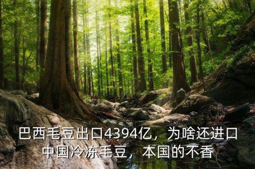 巴西毛豆出口4394億，為啥還進口中國冷凍毛豆，本國的不香