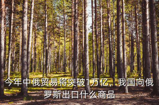 今年中俄貿(mào)易將突破1萬(wàn)億，我國(guó)向俄羅斯出口什么商品