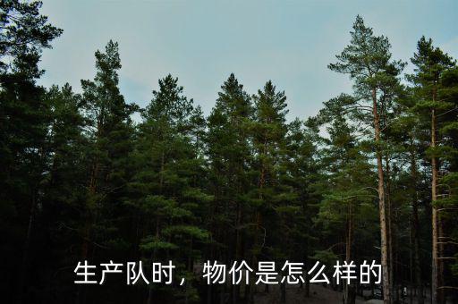 生產(chǎn)隊時，物價是怎么樣的