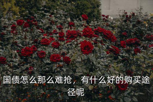 國債怎么那么難搶，有什么好的購買途徑呢