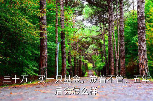三十萬(wàn)，買一只基金，放著不管，五年后會(huì)怎么樣