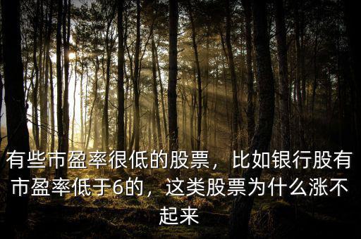 有些市盈率很低的股票，比如銀行股有市盈率低于6的，這類股票為什么漲不起來