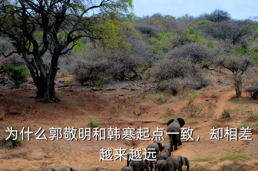 為什么郭敬明和韓寒起點一致，卻相差越來越遠(yuǎn)