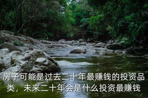 房子可能是過去二十年最賺錢的投資品類，未來二十年會(huì)是什么投資最賺錢