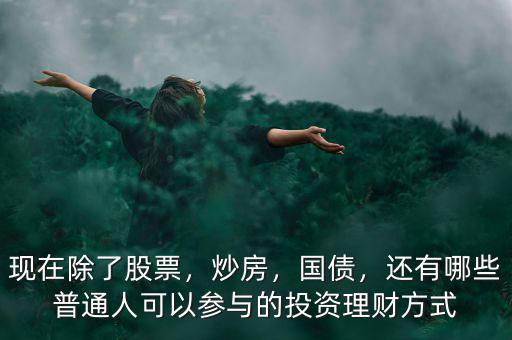 現(xiàn)在除了股票，炒房，國債，還有哪些普通人可以參與的投資理財(cái)方式