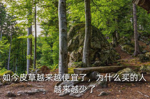 如今皮草越來越便宜了，為什么買的人越來越少了