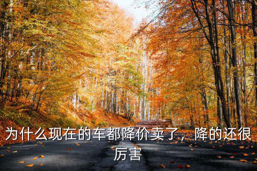 為什么現(xiàn)在的車都降價賣了，降的還很厲害