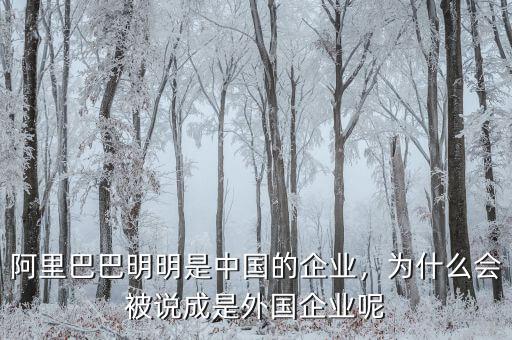 阿里巴巴明明是中國的企業(yè)，為什么會被說成是外國企業(yè)呢