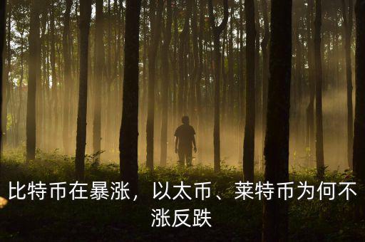 比特幣在暴漲，以太幣、萊特幣為何不漲反跌