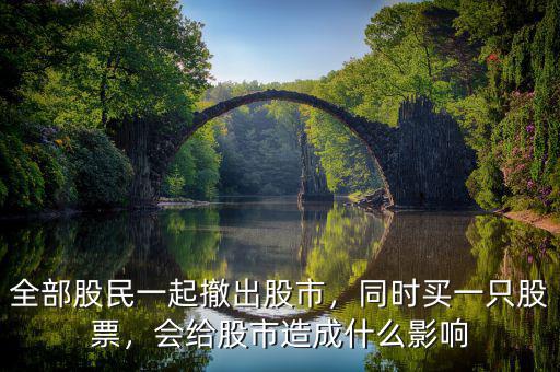 全部股民一起撤出股市，同時買一只股票，會給股市造成什么影響