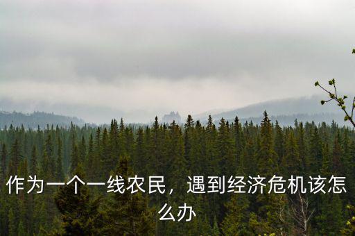 作為一個一線農(nóng)民，遇到經(jīng)濟危機該怎么辦
