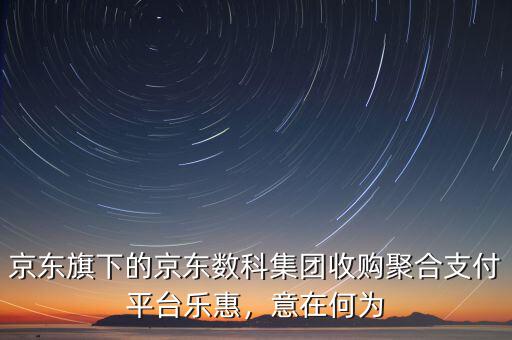 京東旗下的京東數(shù)科集團(tuán)收購(gòu)聚合支付平臺(tái)樂(lè)惠，意在何為