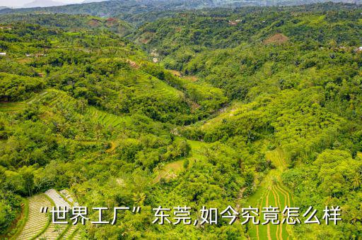 “世界工廠(chǎng)”東莞,如今究竟怎么樣