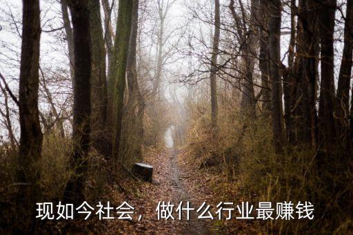 現(xiàn)如今社會，做什么行業(yè)最賺錢