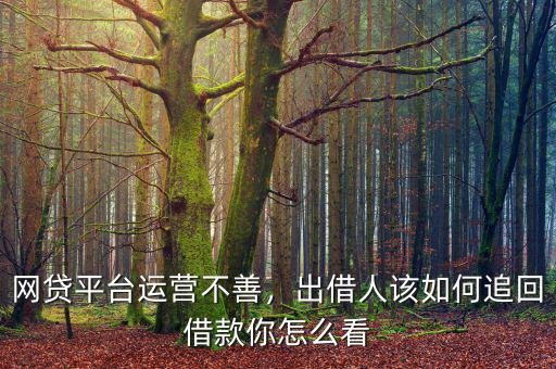 網(wǎng)貸平臺運營不善，出借人該如何追回借款你怎么看