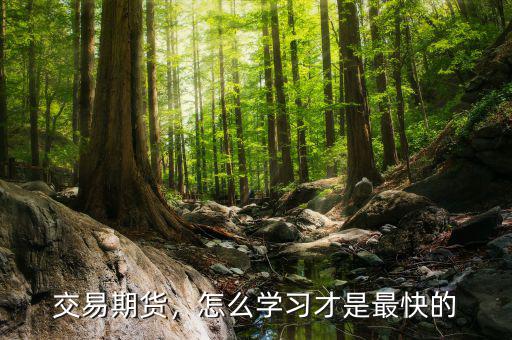 交易期貨，怎么學習才是最快的